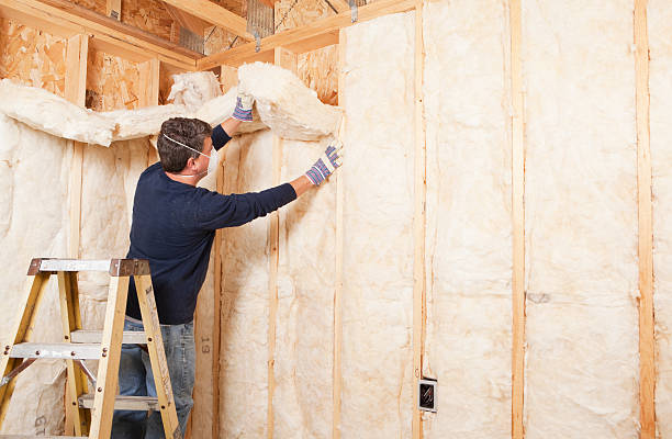 Best Eco-Friendly or Green Insulation Solutions  in Ship Bottom, NJ